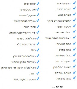 חנות באינטרנט